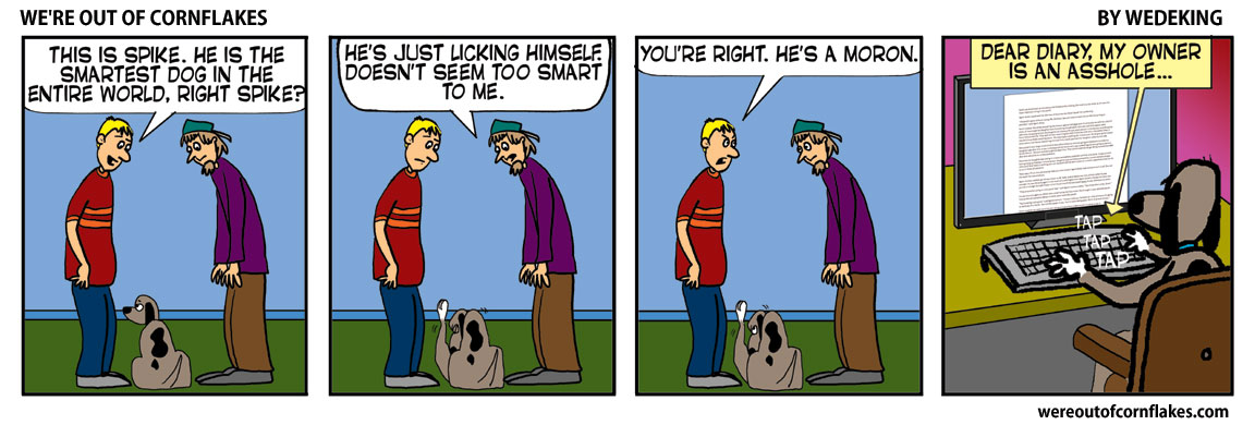 Smartest dog in the world